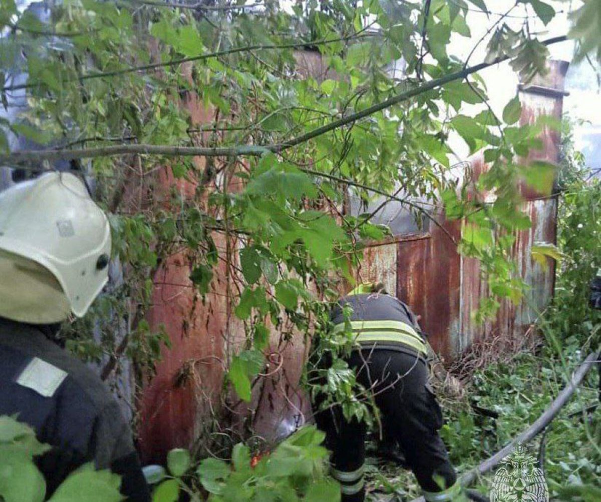В 4 утра в пустующем здании на улице Демонстрации случился пожар. В огне погиб человек. Его личность пока не установлена. Источник: «Тула №1. Советский район» Прислать новость / задать вопрос