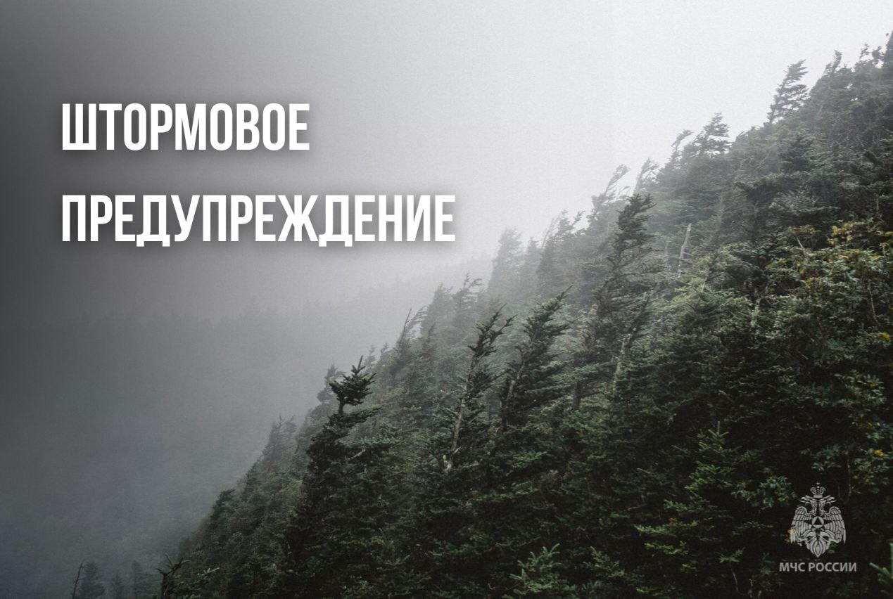 Грозы и ливни По данным синоптиков, сутки 6 июля на территории Республики Алтай ожидаются сильные и очень сильные дожди, грозы, при грозах местами сильные ливни, крупный град, шквалистое усиление ветра до 17-22 м/с. МЧС России напоминает: не стой рядом с высоким отдельно стоящим деревом, печной трубой, высотным строением; грозовой разряд может вызвать пожар, разрушение строений и конструкций, травмирование и гибель людей, животных; не паркуй автомобиль вблизи деревьев и слабо укреплённых конструкций; находясь на улице, обходи шаткие строения и деревья; для вызова экстренных служб звони по номеру «112». Установи на свой дом громоотвод – это реальный способ избежать пожара в грозу.