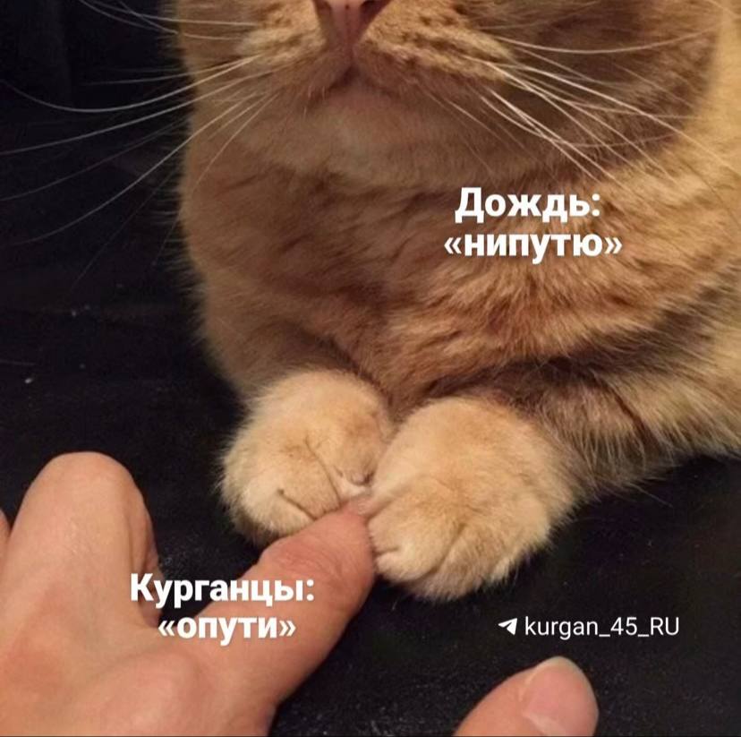 Росгидромет предупредил курганцев о ливнях — В Свердловской, Курганской и Челябинской областях в ближайшие дни пройдут интенсивные осадки, ожидается значительное повышение уровня воды в поймах рек. Возможен выход за пойму, что может привести к подтоплениям. С таким прогнозом в ТАСС выступил научный руководитель Гидрометцентра России Роман Вильфанд.
