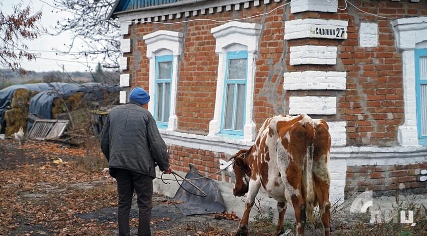 Два муниципальных образования ЛНР в 2025 году получат поддержку на сумму свыше 500 млн. рублей в рамках государственной программы «Комплексное развитие сельских территорий». Об этом на брифинге сообщил министр сельского хозяйства и продовольствия Республики Евгений Сорокин.  «Программа, которая у нас планируется к реализации в 2025 году, — это большая программа комплексного развития сельских территорий. <…> На 2025 год нами совместно с муниципалитетами сформирована заявка уже в объеме чуть более 500 млн руб. как раз на проведение работ по восстановлению, ремонту дома культуры, строительству дорог, ремонту уличной инфраструктуры в Беловодском и Станично-Луганском районах», — проинформировал глава Минсельхоза.