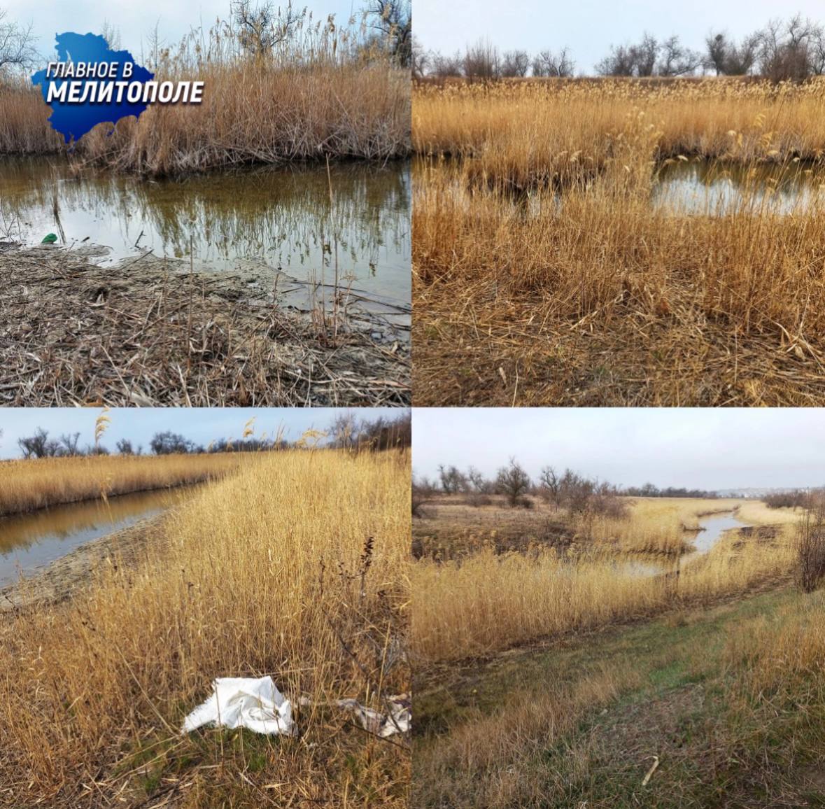 В регионе приводят в надлежащее состояние реки  В населенных пунктах Семеновка и Вознесеновка будет расчищено русло реки Молочная. Управлением водного хозяйства запланированы работы на участке протяженностью семь километров. Приступят к этому в этом году. Проведутся геодезические исследования, вырубка кустарников, скашивание травы, сбор мусора и удаление донных отложений. Эти меры направлены на восстановление водообмена, улучшение экологии объекта и повышение его рекреационной привлекательности. Мероприятия входят в общую директиву по опреснению Азовского моря.  Во время комиссионного обследования были сделаны выводы о необходимости расчистки данного участка, так как русло реки и береговые склоны обширно заросли тростником, проточность реки нарушена, на дне реки наблюдается большое количество наносов и иловых отложений.