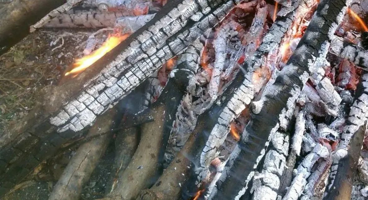 В Хабаровском крае о поджигателях леса можно сообщить по номеру 112 С начала 2025 года в крае ликвидировано около 700 возгораний на открытых территориях и более 70 лесных пожаров. Ситуация с пожарами в регионе остаётся сложной, но контролируемой. В период действия особого противопожарного режима штрафы были значительно увеличены. Для граждан они составляют от 10 до 20 тысяч рублей, для должностных лиц — от 30 до 60 тысяч рублей, для индивидуальных предпринимателей — от 60 до 80 тысяч рублей, а для юридических лиц — от 400 до 800 тысяч рублей. Пожароопасный сезон в регионе начался 30 марта, а с 17 апреля в крае был введён особый противопожарный режим. Для предотвращения лесных пожаров в некоторых районах края были введены ограничения на пребывание граждан в лесах. Власти региона призывают жителей соблюдать правила пожарной безопасности, особенно в лесах. Запрещено сжигать траву и мусор, разводить костры и бросать непотушенные сигареты. При обнаружении пожаров или лиц, осуществляющих поджоги, необходимо сообщать об этом по номеру 112 звонок бесплатный .