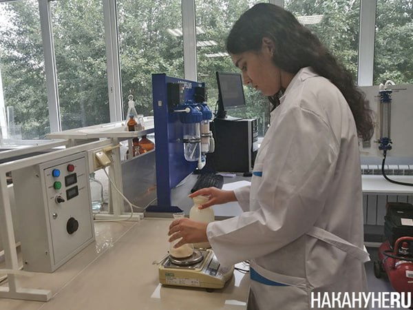 Число ученых исследователей в научных организациях сократилось на 20 За десять лет в российских научных организациях на 20 сократилось число исследователей с ученой степенью кандидата или доктора наук Всего в 2024 году их насчитывалось чуть меньше 90 тыс такой вывод из данных Росстата сделали Ведомости без учета четырех новых субъектов С 2015 года число исследователей с ученой степенью ежегодно снижается во всех федеральных округах Число докторов наук снизилось почти на 23 Причин называется несколько старение и уход на пенсию платное обучение в докторантуре низкие стипендии совмещение учебы с работой Есть также организационные проблемы ужесточились требования к публикациям закрыт доступ к публикации статей в иностранных журналах банально не хватает диссертационных советов