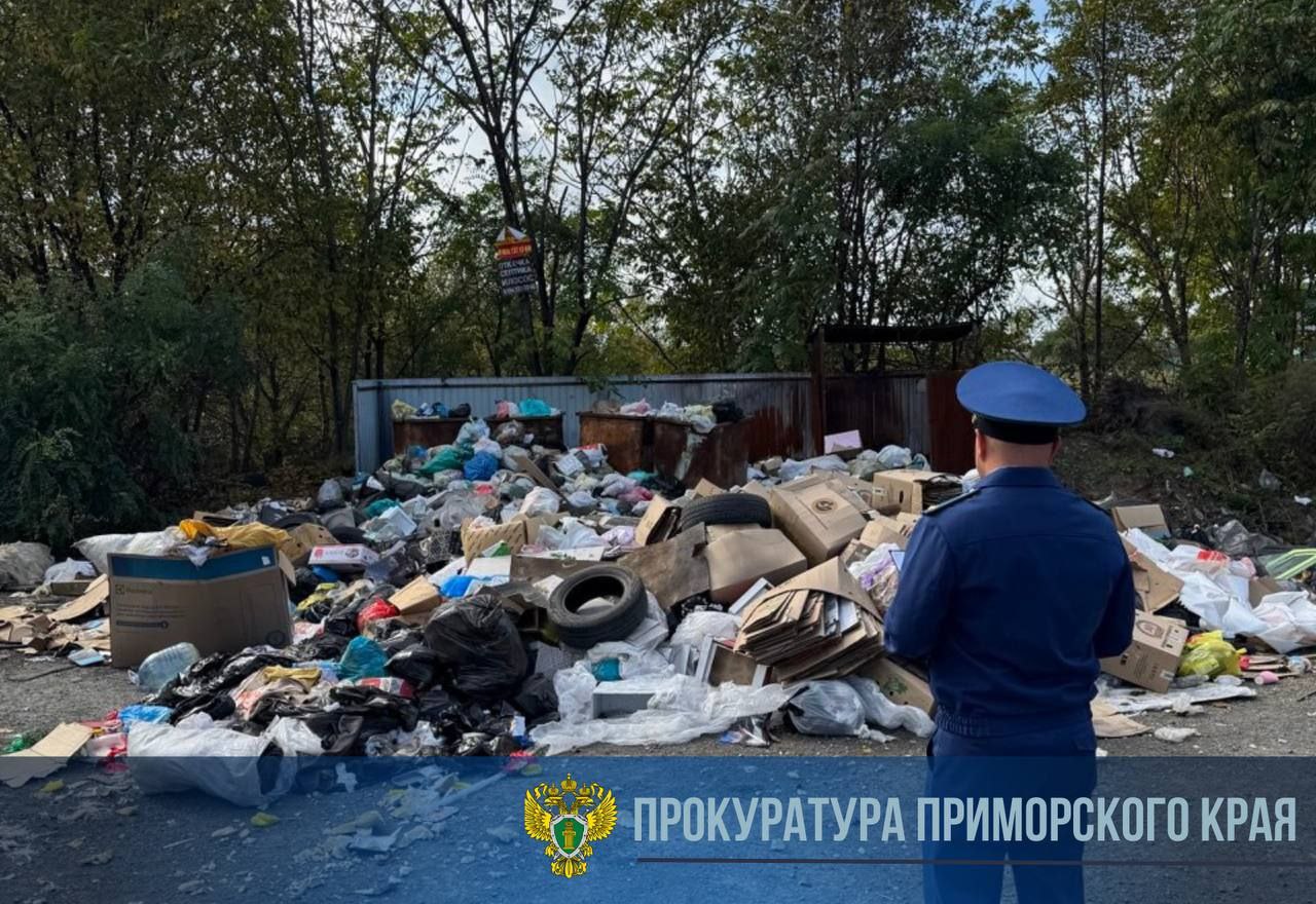 Прокуратура проверяет ситуацию с вывозом мусора в поселке Трудовое  Прокуратура Советского района Владивостока начала проверку после публикаций в СМИ о проблемах с вывозом мусора в поселке Трудовое.  Было установлено, что региональный оператор не вывозил отходы вовремя, из-за чего на площадках скапливался мусор.  Прокурор района потребовал от руководителя оператора немедленно решить проблему и наказал виновное должностное лицо. Прокуратура продолжит следить за ситуацией.