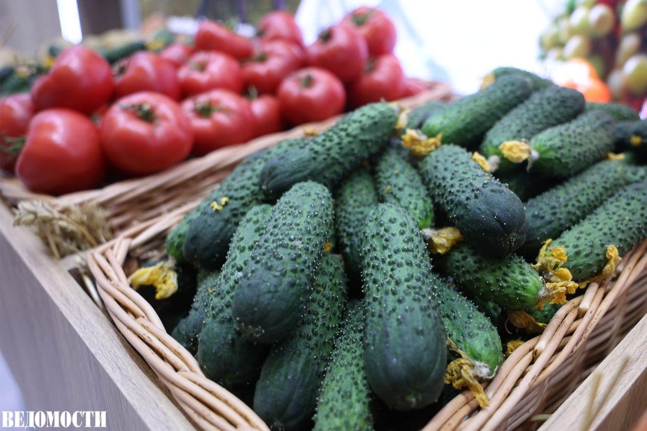 Январские цены производителей на томаты и огурцы ниже прошлогодних заявили в Минсельхозе В ведомстве отметили что рост производства овощей в России позволяет сохранять стабильную ценовую ситуацию на внутреннем рынке пишет Интерфакс Цены на томаты по данным министерства снизились в годовом выражении на 21 6 на огурцы на 9 9 Стоимость овощей в рознице также ниже чем год назад Ранее ФАС запросила данные у крупнейших производителей овощей защищенного грунта чтобы оценить ситуацию с рыночными ценами По данным Росстата с 1 по 12 января 2026 года цены на продовольственные товары в стране выросли на 1 4 В частности рост цен на плодоовощную продукцию составил 7 88 на остальные продукты питания 0 92 Telegram Max