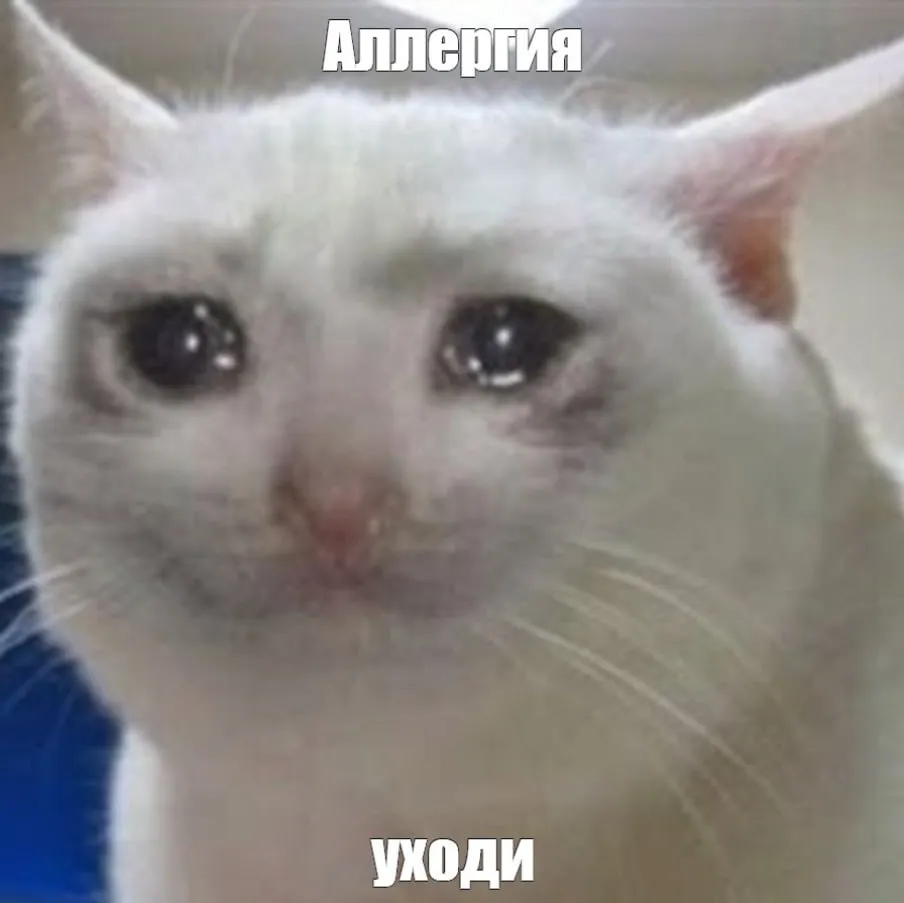 Коронавирус вызывает аллергию С началом сезона аллергии россияне столкнулись с симптомами от которых не помогают антигистаминные Некоторые врачи связывают это со штаммом Stratus Однако по словам специалиста Минздрава России по инфекционным заболеваниям Владимира Чуланова вирус не вызывает аллергию но может усилить ее проявления Нет убедительных научных данных подтверждающих что какой либо конкретный вариант вируса включая так называемый Stratus вариант COVID 19 способен напрямую вызывать развитие новых аллергических заболеваний у ранее здоровых людей рассказал эксперт РИА Новости После перенесенного коронавируса могут наблюдаться временные изменения в иммунной системе что иногда приводит к повышенной чувствительности к пыльце растений Весной дышите полной грудью если получится Подписывайтесь на нас в MAX