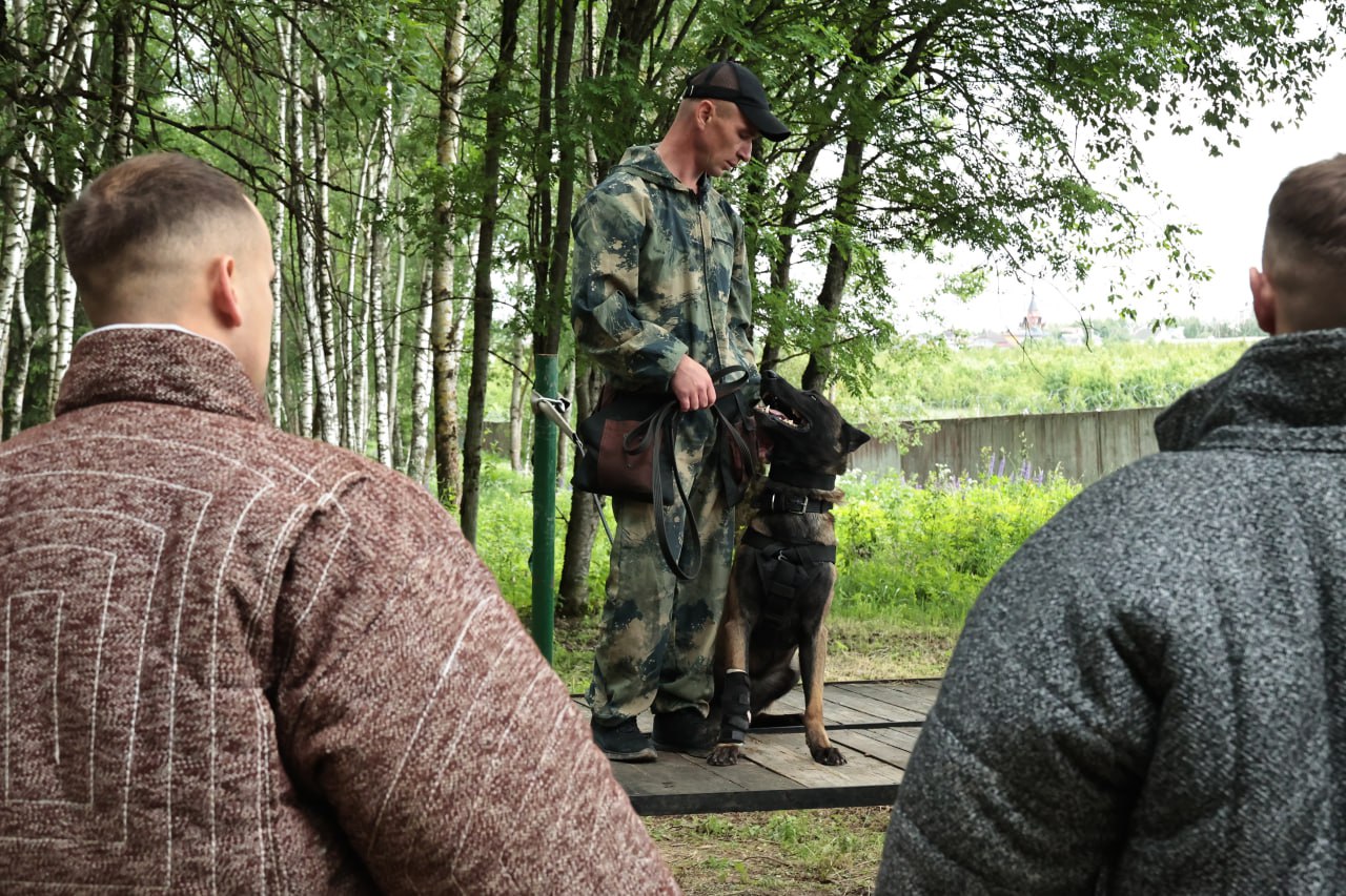 В Горанях проходит учебно-методический сбор с кинологами из Беларуси и России На базе Центра подготовки, повышения квалификации и переподготовки кадров МВД специалисты по подготовке служебных собак из Департаментов охраны и исполнения наказаний, военнослужащие внутренних войск и сотрудники МВД России показывают себя в защитном разделе. Всё для повышения квалификации и обмена опытом в дрессировке. У собак проверяли охранно-защитные навыки и навыки задержания, а также конвоирование преступников. Поприветствовал участников первый заместитель начальника Департамента охраны Максим Миронов. Он отметил важность встречи для расширения и совершенствования профессиональных навыков. Редакция МВД в Telegram