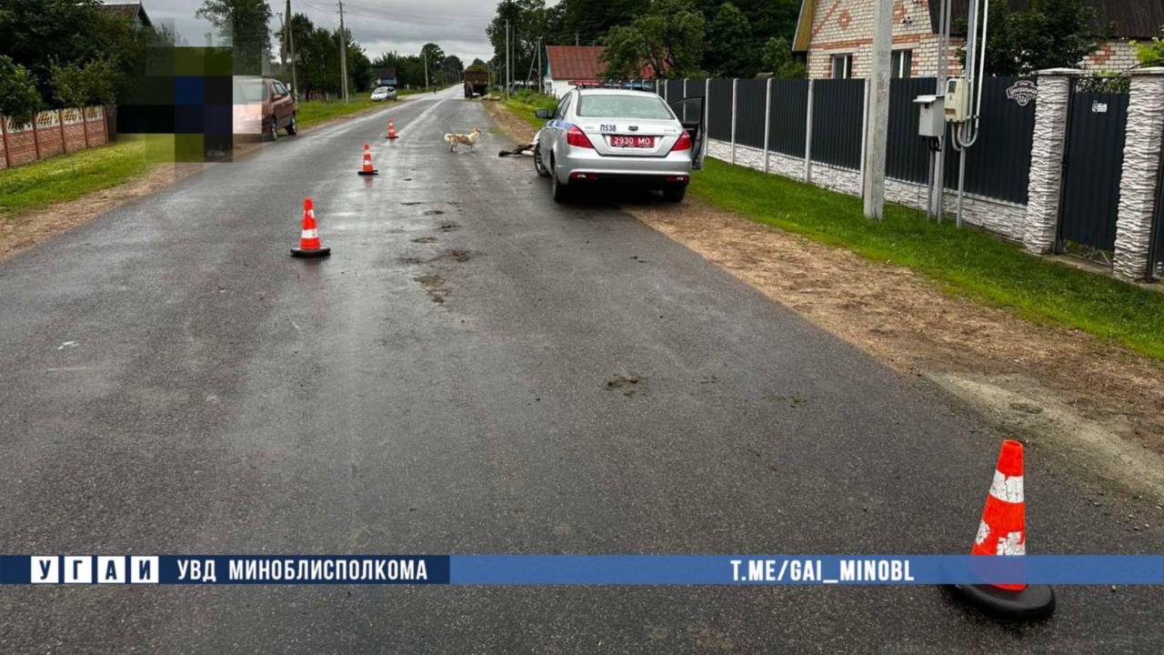 В Любанском районе трактор врезался в корову. Животное отбросило в сторону, где в это время проезжала на велосипеде 54-летняя женщина, и удар пришелся прямо по ней. С полученными травмами женщина госпитализирована, корова - погибла.