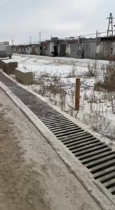 Инспекторы ДПС в Воронежской области оказали помощь травмированной собаке