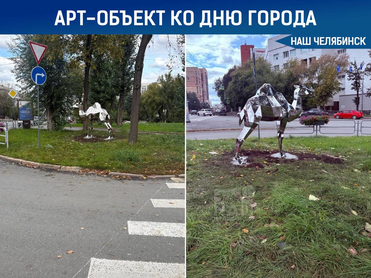 На пересечении улиц Воровского и Красной установили двухметрового зеркального верблюда в честь 289 летия города Скульптура сделана из нержавеющей стали благоустройство вокруг нее завершат в ближайшие дни В Челябинске также есть другие арт объекты в виде верблюдов включая металлическую скульптуру на Кировке и инсталляцию у театра драмы имени Наума Орлова Наш Челябинск новости без лапши Подпишись
