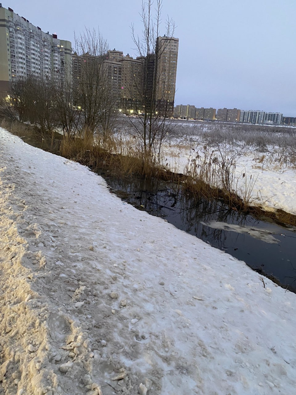 В поселке Бугры под Петербургом продолжается экологическое преступление отравляющее жизнь людей Местные жители ежемесячно наблюдают чудовищную картину в Лесной ручей на Полевой улице сбрасываются канализационные стоки окрашивая воду в серо коричневый цвет и наполняя воздух невыносимым запахом Вопреки морозу вода в канаве тает от горячих нечистот а паром от этой ядовитой смеси вынуждены дышать взрослые и дети ежедневно проходящие здесь в детский сад и школу Новый жилой дом сданный у этого ручья стал ловушкой для своих жильцов Власти поселения и надзорные органы годами демонстрируют беспомощность превращая территорию в зону экологического бедствия История тянется с марта 2023 года когда по обращениям граждан была официально установлена причина Государственный экологический надзор обнаружил аварийную канализационную насосную станцию на Полевой улице и железобетонную трубу сбрасывающую бытовые стоки от многоквартирных домов прямо в природную канаву Тогда комитет поспешил отчитаться что станция передана на баланс Водоканала а материалы направлены в Росприроднадзор и прокуратуру для принятия мер Однако вместо решения проблемы началась бюрократическая игра в подкидывание дела ответственность перекладывали с муниципалитета на Водоканал а оттуда в федеральные надзорные ведомства Безрезультатность этих мер привела к тому что в марте 2025 года ситуацией вынужден был лично заняться председатель Следственного комитета России Александр Бастрыкин Он поручил возбудить уголовное дело о нарушении природоохранного законодательства в Буграх Поводом для вмешательства главного следственного ведомства страны стали публикации в СМИ и жалобы жителей на то что нечистоты без очистки поступают в окружающую среду а дети вынуждены ходить вдоль ничем не огороженной отравленной канавы Это был беспрецедентный шаг красноречиво говорящий о масштабе бездействия местных властей и контролирующих органов которые за два года так и не смогли защитить людей Однако сегодня в 2026 году несмотря на поручение Бастрыкина и многочисленные проверки проблема остается нерешенной Жители снова пишут отчаянные обращения а в поле между Буграми и соседними районами продолжает стоять удушливый запах фиксируемый экомилицией Вопросы висят в зловонном воздухе сколько еще лет должно пройти чтобы чиновники выполнили свои прямые обязанности Когда Водоканал наконец устранит аварийную станцию а надзорные органы перестанут ограничиваться предостережениями и передачей документов по инстанциям Подписывайтесь на Экодиктатуру