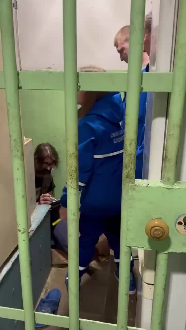 Жители Владивостока обеспокоены бездомными собаками и неадекватным соседом