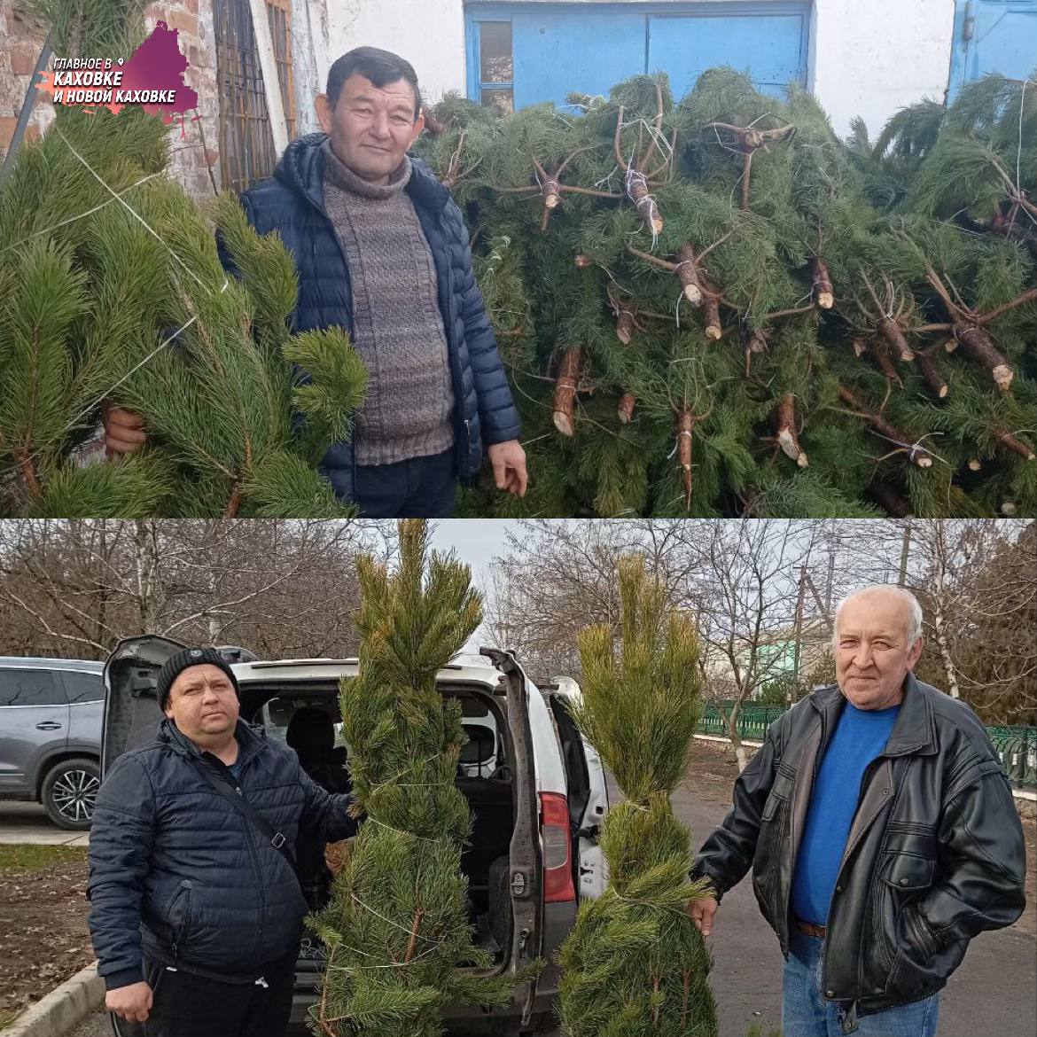 В школы и детские сады Каховского округа привезли новогодние ели  В Тавричанский детский сад «Ромашка», Архангельскослободскую, Тавричанскую и Костогрызовскую школы доставили живые ели. Каждое из учреждений получило главный символ Нового года, который создаст настоящую праздничную атмосферу.   Представители администраций школ и детстких садов поблагодарили за душевный подарок организаторов акции и зампредседателя областной думы. Живые ели будут напоминать о приближении главного зимнего праздника и радовать детей.