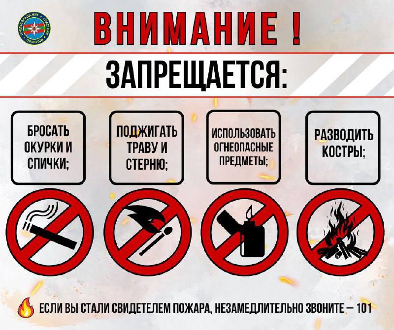 В республике действует особый противопожарный режим Запрещено: – разведение костров; – приготовление пищи на открытом огне, углях; – проведение пожароопасных работ; – сжигание сухой травы, стерни и мусора; – использование пиротехники. В случае пожара звоните на линию «101». Пресс-центр МВД ПМР