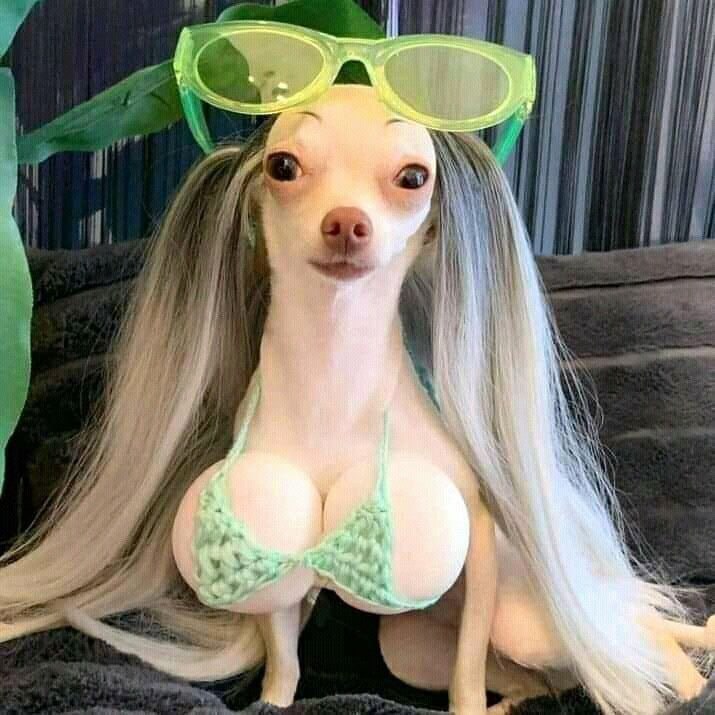 В Нижнем Новгороде появится кластер где будут производить первый зарегистрированный в России силиконовый имплант для увеличения груди Сдать объект планируют в 2028 году Производственная мощность завода составит до 45 тысяч имплантов в год Об этом сообщила на 14 м национальном конгрессе Пластическая хирургия эстетическая медицина и косметология в Москве пластический хирург Надежда Рождественская Ее слова передал главред Стационар пресс Алексей Никонов