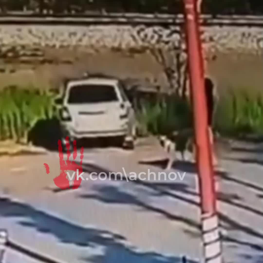 Два случая угона автомобилей в Челябинске и Минске с участием пьяных водителей