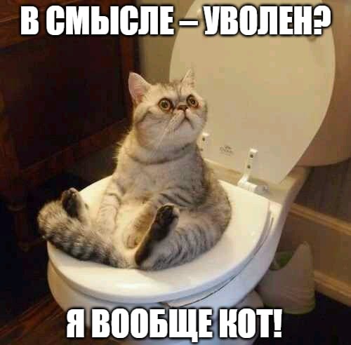 В туалете на работе засиживаться – к увольнению Если человек в течение рабочего дня надолго уединяется в «уголке задумчивости», то к нему могут применить санкции – лишить премии или даже уволить, предупредил юрист Ярослав Остапенко в разговоре с «Абзацем». Сам по себе поход в туалет не является нарушением, но если человек засиживается там по нескольку часов, то его ждут дисциплинарные санкции, а уже вслед за ними – лишение премии и самый неприятный исход. Подпишитесь на «Абзац» Добавьте «Абзац» в ленту «Дзена»