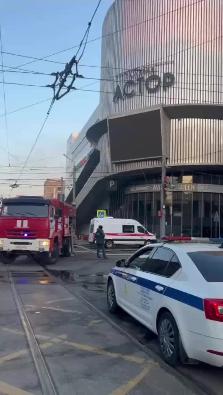 Изменение маршрута автобусов в Тобольске из-за валки деревьев