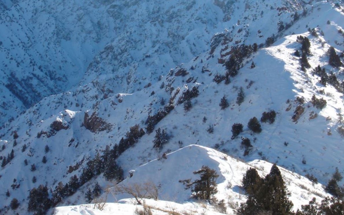 Узбекистанцев экстренно предупредили о лавинной опасности   repost uz v gorax akkuratnee v obshem Подписывайтесь на Repost