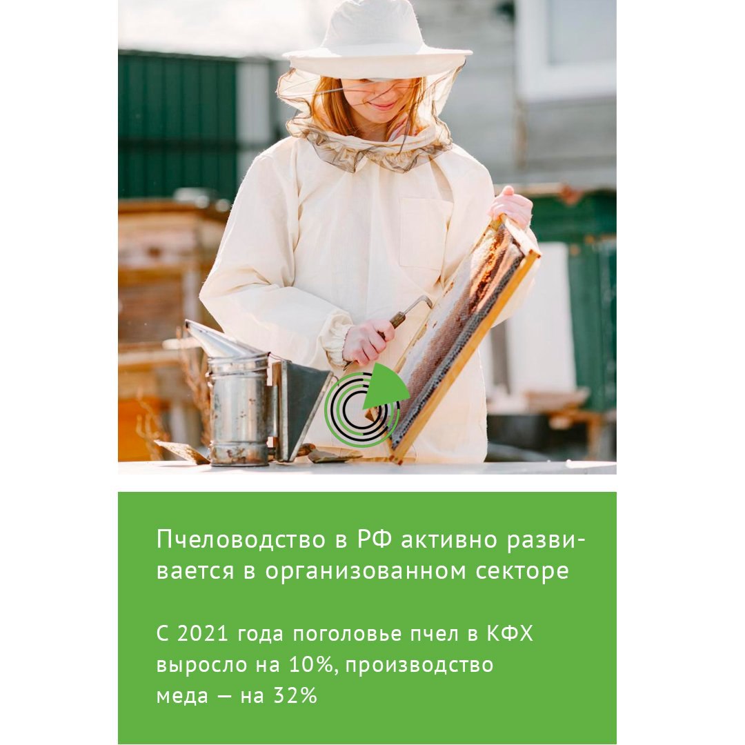 ПЧЕЛОВОДСТВО В РФ АКТИВНО РАЗВИВАЕТСЯ В ОРГАНИЗОВАННОМ СЕКТОРЕ Пчеловодство в России продолжает расти особенно в секторе малых и крестьянских фермерских хозяйств КФХ Об этом сообщил начальник отдела технологического развития в сфере животноводства Минсельхоза России Андрей Кузнецов на симпозиуме по пчеловодству По данным Росстата в 2024 году в стране насчитывалось 2 5 млн пчелосемей из которых около 93 содержится в хозяйствах населения Рост численности пчелиных семей фиксируется именно в организованном секторе сельхозорганизациях и фермерских хозяйствах Поголовье пчел в сельхозорганизациях увеличилось на 3 8 а в КФХ примерно на 1 С 2021 года прирост в фермерском сегменте уже достиг 10 отметил Кузнецов Подробнее   clck ru 3Q3PUt