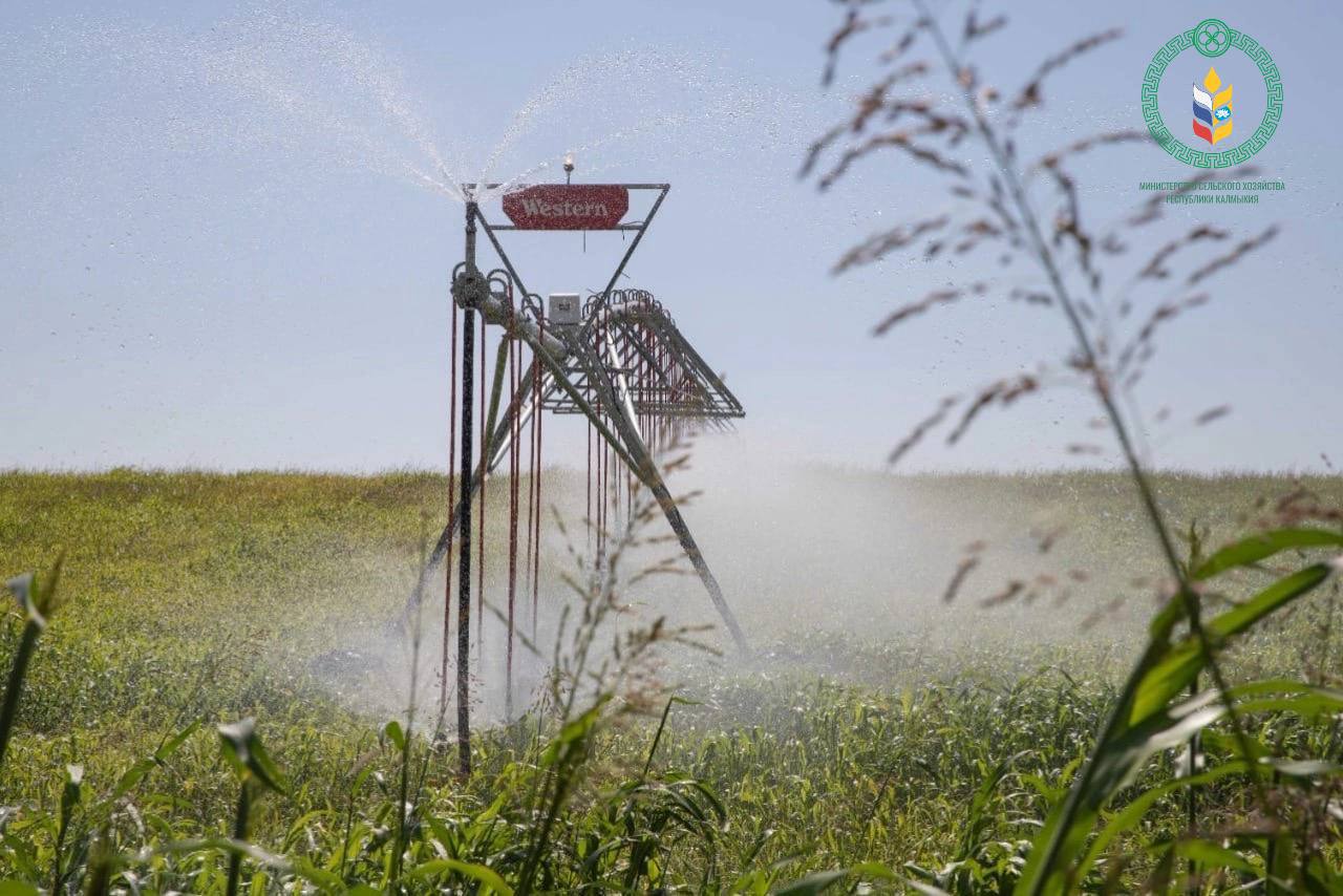 Сельскохозяйственные земли Калмыкии за три года увеличились на 19 тысяч гектаров В Калмыкии за три года ввели в оборот 19 тысяч гектаров земель сельскохозяйственного назначения Такой результат стал итогом реализации государственной программы Эффективное вовлечение в оборот земель сельскохозяйственного назначения и развитие мелиоративного комплекса Республики Калмыкия Наибольшие площади освоены в Кетченеровском районе 7 24 тысяч гектаров Ики Бурульском 5 33 тысяч гектаров и Яшкульском 3 93 тысяч гектаров В Яшалтинском районе в оборот вовлечено 1 37 тысяч гектаров в Малодербетовском 1 13 тысяч гектаров отчитались в министерстве сельского хозяйства республики Южная служба новостей