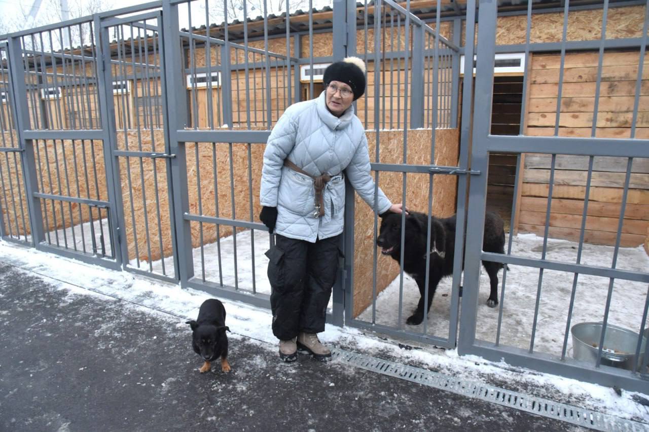 В Асбесте открылся первый в Свердловской области межмуниципальный приют для бездомных животных. Содержать в нём будут до 272 собак и кошек в уличных и тёплых вольерах. На эти цели из областного бюджета было выделено более 50 млн рублей.   Здесь установлено шесть модульных зданий. В них располагаются тёплые вольеры, кабинет ветеринарного врача, операционная и стационар для животных. Есть зона карантина. Она включает в себя приемно-смотровой и дезинфекционный кабинеты, а также изолятор для животных. Все четвероногие, отловленные на улице, при поступлении в приют будут на карантине, и только после осмотра ветеринаром их перемесят в вольеры к здоровым животным.  Приюты для безнадзорных животных планируется построить в Алапаевском, Верхнесалдинском, Верхнетурском, Первоуральском и Сысертском городских округах. Сейчас разрабатывается проектно-сметная документация для будущих приютов, подбираются земельные участки для размещения пунктов содержания отловленных специальными службами животных.   : ДИП.