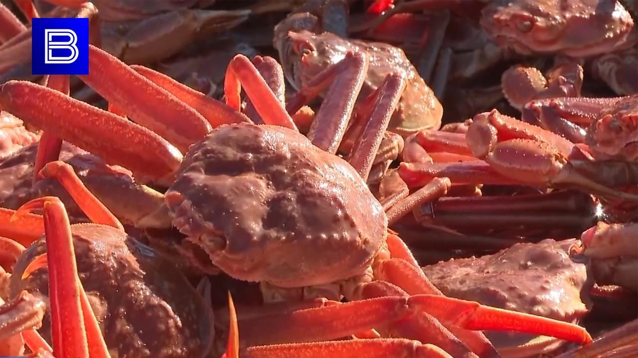 Поставки мурманских морепродуктов в Китай и Южную Корею значительно выросли за месяц  Всего с начала 2024 года на экспорт отправили более 139 тыс. тонн заполярной рыбной продукции. Большая часть — в страны Евросоюза.    Подпишись — Вести Мурман