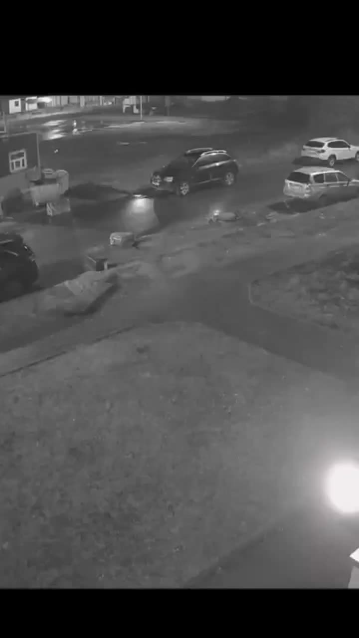 В Пскове мужчина выбросил собаку из окна, полиция начала проверку