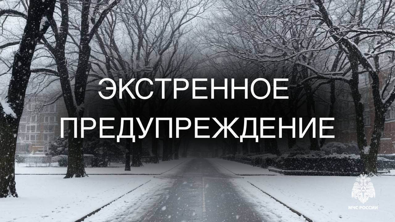 Метель прогнозируется на территории пяти районов Сахалинской области По информации ФГБУ Сахалинское УГМС на территории Поронайского Смирныховского Ногликского Томаринского и Макаровского районов вечером 31 декабря и ночью 1 января ожидается сильный снег местами очень сильный метель видимость 500 метров и менее лавиноопасно info65mchs Подписывайся на МЧС России в MAX ВК