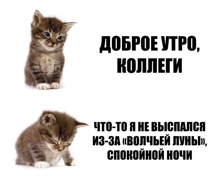 Эксперты рассказали, стоит ли опасаться «Волчьей Луны»  Первое в 2025-м полнолуние, которое пройдёт в созвездии Близнецов, наступит в ночь на 14 января. Явление издревле называют «Волчьим» из-за того, что в этот период дикие животные якобы начинают регулярно выходить на охоту.   Астрологи убеждены, что у людей в это полнолуние обостряются тревожность, бессонница и хронические заболевания.  Данное астрономическое явление рядовое, заявил «Абзацу» научный журналист Михаил Котов:  «Все наименования, которые вы встречаете про полнолуния, когда их называют «Урожайная Луна», «Осетровая Луна», «Цветочная Луна» и так далее, скорее всего, пошли от индейских верований, от раннего колониального фольклора в США. В Европе и России таких названий нет. Это такая мода, маркетинг, который пришёл к нам оттуда».  Подробнее о том, что из себя представляет «Волчья Луна», читайте в нашем материале.  Подписывайтесь на «Абзац»