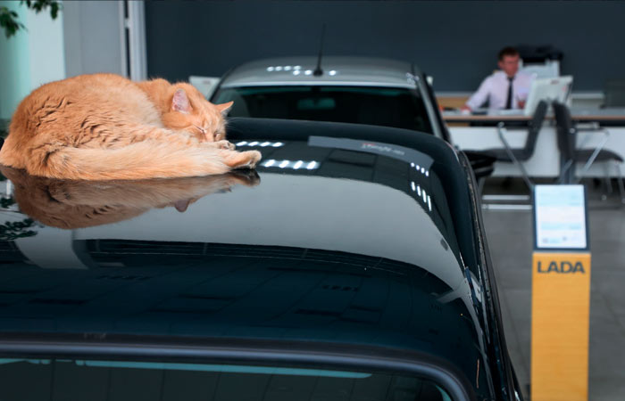 Индексация цен на модельный ряд российского автомобильного бренда Lada в 2026 году должна учитывать повышение НДС с 20 до 22 и рост себестоимости производства Об этом сказал журналистам президент АО АвтоВАЗ Максим Соколов в кулуарах Транспортной недели На вопрос о том планируется ли очередное повышение цен на Lada в 2026 году Соколов ответил что цены будут индексироваться не только по инфляции но и по росту себестоимости Он отметил что повышение НДС автоматически увеличивает затраты минимум на 2 Последняя индексация у нас была почти год назад в январе прошлого года менее 2 в несколько раз ниже уровня официальной инфляции Так долго сдерживать рост невозможно импорт вырос агрессивный демпинг со стороны китайских стоков давил на рынок сказал Соколов Фото Алексей Булкин NEWS ru ТАСС interfaxonline