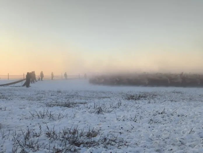 Корализация домашних северных оленей проходит в Якутии Осенняя корализация домашних северных оленей проходит в тундровой зоне Якутии Анабарском Булунском Усть Янском и Нижнеколымском районах Подробнее читайте по ссылке yk24 ru в MAX Telegram ВК VK Видео