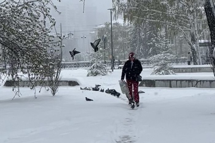 Свердловские власти назвали плюс от снегопадов в апреле  У снега, который внезапно пришел на Урал в конце апреля, есть плюс. По крайней мере, так считает замгубернатора Азат Салихов. По его мнению, снежный покров помешает возникновению ландшафтных пожаров.  — [ ] По прогнозам синоптиков, к обеду снегопад уже прекратится, а к вечеру будет солнечно. Нас радует то, что происходит — снежный покров помешает возникновению пожаров, — передает URA.RU слова Салихова.  Так, два года назад, это же время в Свердловской области из-за сухой погоды начались ужасные пожары, из-за которых серьезно пострадали несколько поселков. В частности, Сосьва.