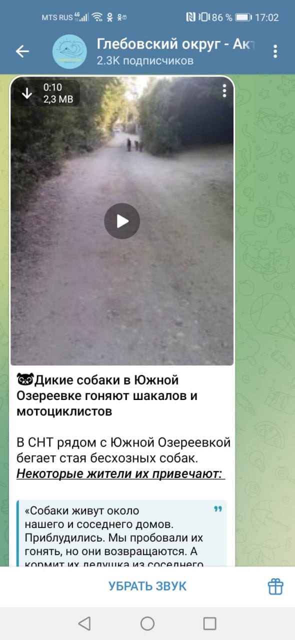 Собак отловят, что дальше?  На наш пост о бродячих собаках в СНТ рядом с Южной Озереевкой поступила обратная связь. Администрация Глебовского округа сообщила: «Сегодня с выездом на место специалистами администрации Глебовского сельского округа при осмотре территории и общении с жителями СНТ принято совместное решение о подаче заявки на отлов бродячих собак».  По закону, собак вернут обратно с чипами в ушах. Потом чипированных собак больше не будут отлавливать. Гарантирует ли этот чип мирное поведение стаи? Не факт.
