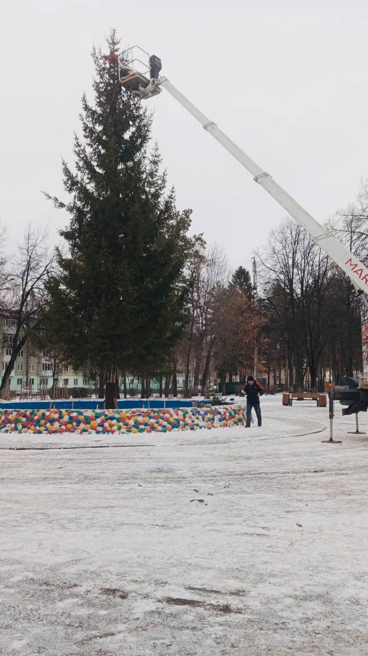 В Деме в сквере «Орион» установили новогоднюю красавицу. Все бы ничего, но ель спилили возле дома улице Локомотивной.   Дерево вырастила женщина и теперь она недовольна тем, что власти ее даже не предупредили.    В администрации района рассказали следующее:   «Учитывая, что ель подлежала сносу, было принято решение не утилизировать, а использовать ее как главное украшение новогоднего городка в сквере "Орион"».   Какая-то не праздничная ситуация получается     Подписаться   Прислать новость