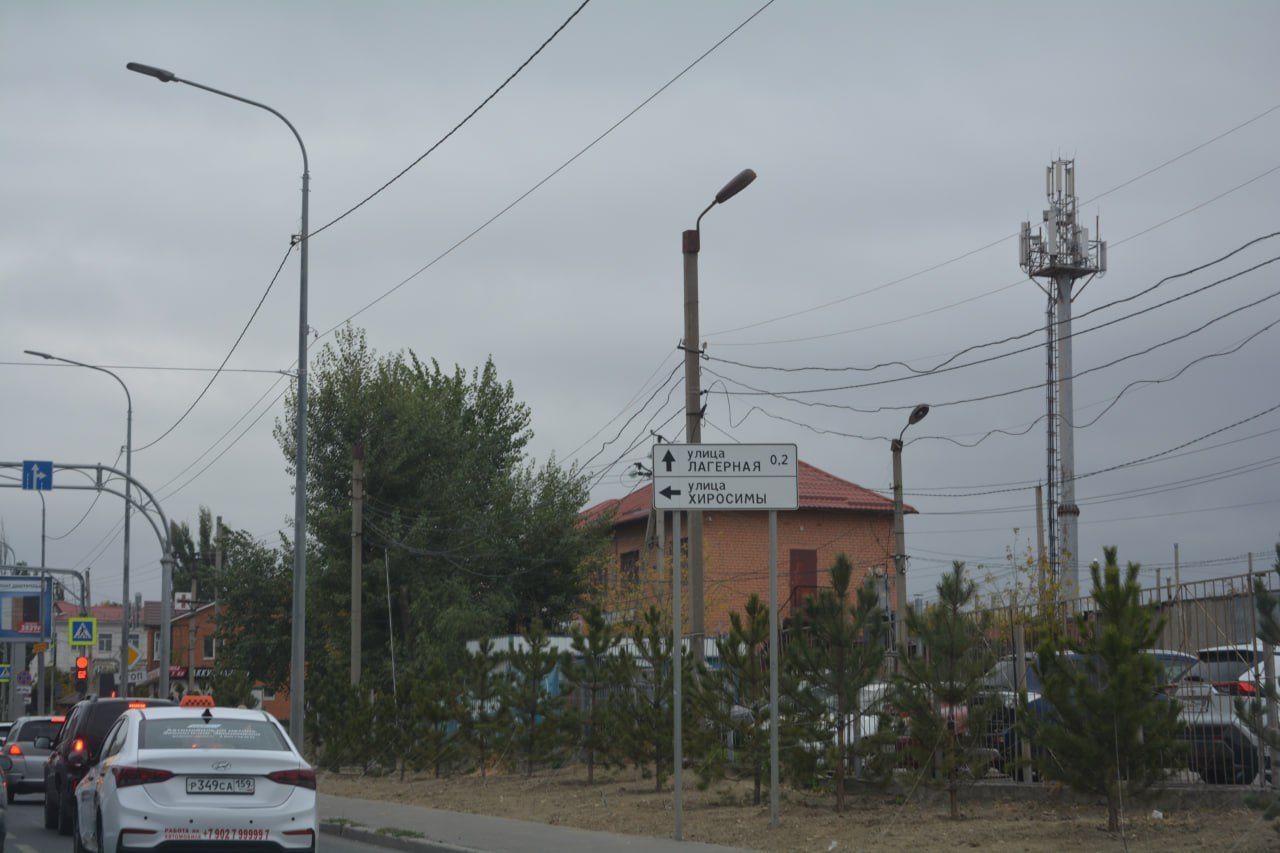 ‍  Недавно высаженные сосны выкопали на 2-й Продольной в Волгограде  Лишь месяц назад в Волгограде высадили сосны вдоль улицы Рокоссовского со стороны Дзержинского района. 7 ноября горожане были поражены тем, что хвойники выкапывают. Как пояснили в мэрии, подрядчик удаляет растения, которые не соответствуют требованиям контракта.  - Профильные службы администрации выявили несоответствие высаженных растений тем условиям, которые указаны в контракте. В связи с этим оплата зеленых насаждений подрядной организации производиться не будет, - рассказали чиновники.   Пока в администрации Дзержинского района думают запустить процедуру расторжения контракта с подрядчиком без оплаты работ. Сосны вдоль улицы Рокоссовского  появятся, но позже.   Фото: Алексей Ульянов, Инна Шереметьева