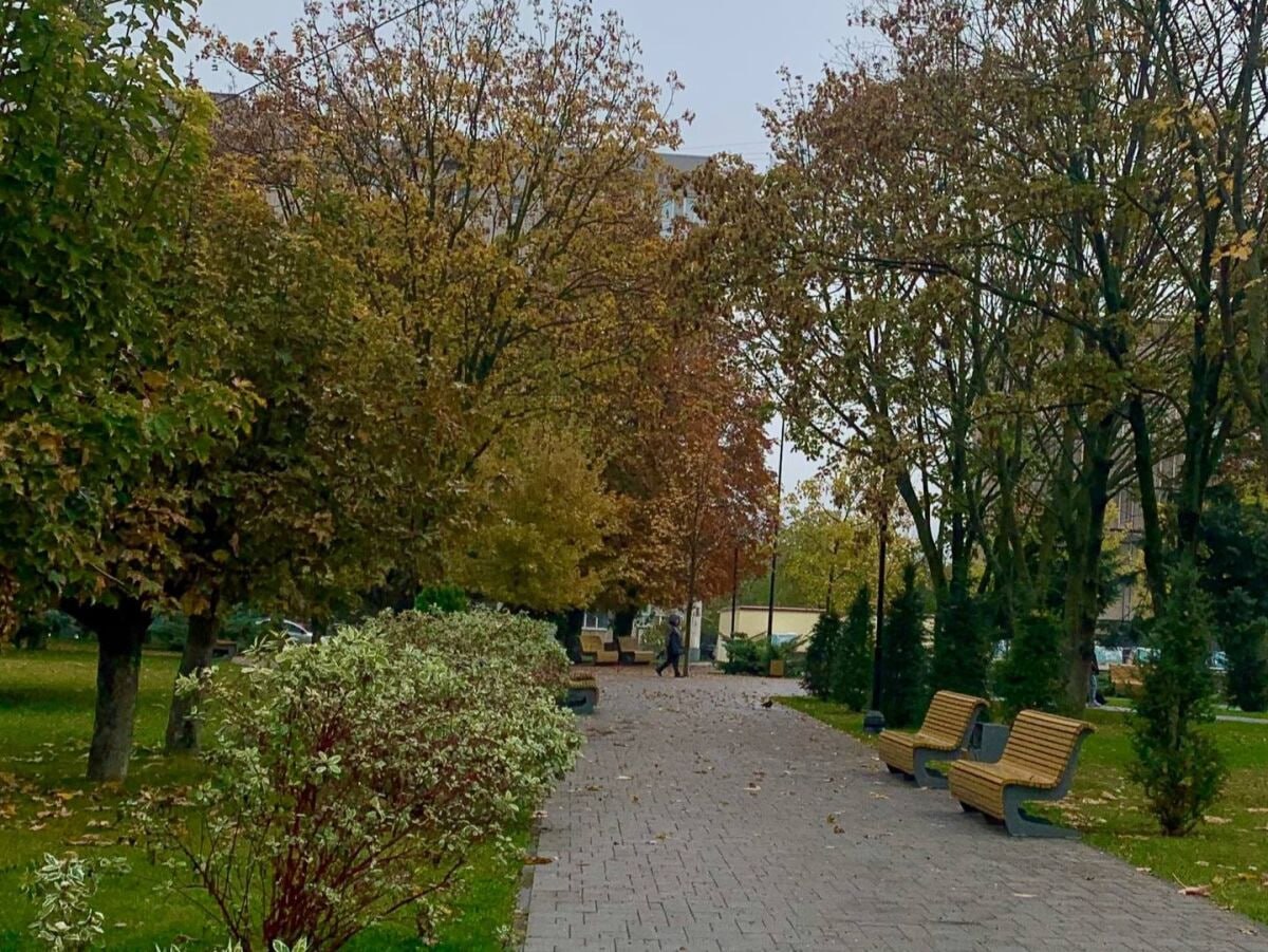 Листва влетит в копеечку донские коммунальщики и управляйки заплатят 1 2 млн рублей штрафов Осень не повод расслабляться если вы отвечаете за чистоту во дворе Власти Дона доказали это на практике общая сумма штрафов за неубранную листву и ветки перевалила за 1 2 миллиона рублей За осенним беспорядком следила административная инспекция Результат 240 протоколов Суммы штрафов Собственник квартиры до 5 000 Директор УК до 50 000 Управляющая компания до 100 000 domostroyrf