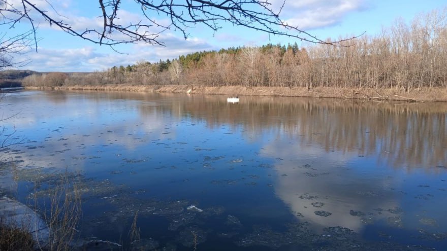 Водолазы начали поиски троих мужчин в водоёмах Воронежской области  Специалисты обследуют водохранилище, в котором ищут 40-летнего Александра Изотова, реку Хопёр, на которой пропал 32-летний Александр Рогов, а также реку Дурной Лог в поисках 54-летнего Владимира Фролова.  Все мужчины пропали в январе.