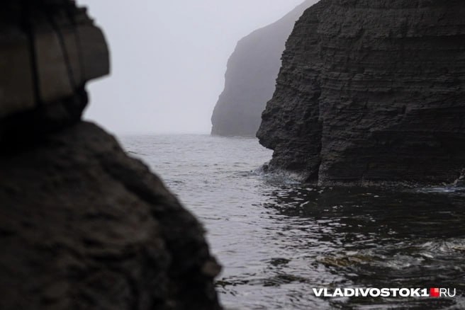 Прокуратура Приморского края подала иск в Арбитражный суд к компании ООО «Одиссей», связанной с депутатом Законодательного собрания Приморского края Джамбулатом Текиевым. Поводом стал перевод участка на мысе Андреева Хаснского района Приморья из государственной аренды в частную собственность без проведения торгов. Компания «Одиссей», резидент свободного порта Владивосток, в 2019 году арендовала участок в Хасанском районе. Позже его разделили, а центральную часть мыса площадью 9,1 га представляющая собой лесной массив, в феврале 2025 года перевели в собственность компании. По мнению прокуратуры, сделка имеет признаки ничтожности. Земля была передана без проведения торгов, и компания не осуществляла на участке фактической деятельности. Обращений за разрешением на строительство также не было, хотя ранее «Одиссей» заявлял о планах строительства водно-спортивного центра. Подписаться