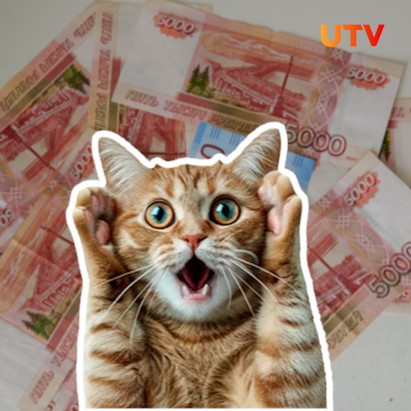 21 летний студент из Стерлитамака потерял более 500 тысяч рублей попавшись на уловки интернет мошенников Ищущий работу студент наткнулся на мошенническую схему По данным городского Управления МВД на онлайн портале ему предложили вакансию с условием предварительной платной регистрации Юноша перевёл злоумышленникам 9 667 рублей После этого с ним связались через мессенджер якобы консультанты которые убедили выполнить дополнительные действия для трудоустройства Далее они потребовали выписки по банковским счетам для декларации ранее отправленных средств студент согласился Затем аферисты придумали новый повод для обмана предложили возврат средств но потребовали декларировать все деньги на счетах и перевести еще сумму Итоговые потери составили свыше 500 тысяч рублей 300 тысяч личные накопления студента 190 тысяч деньги взятые в долг у матери По факту инцидента идет проверка Подписывайтесь на utvugrb