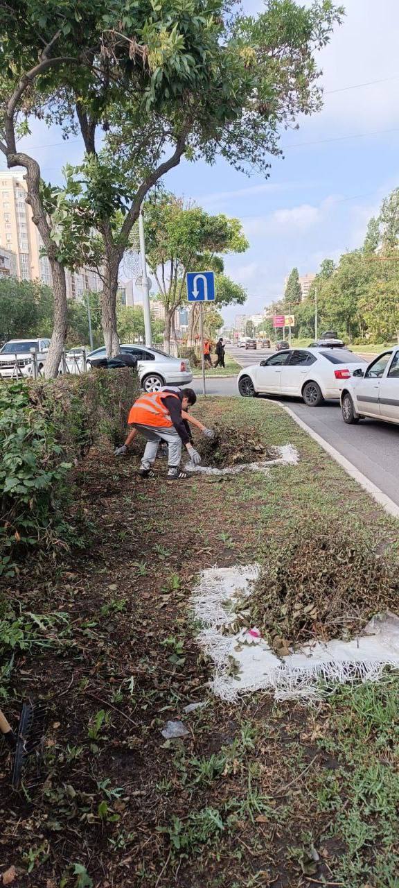 В Оренбурге 275 работников вышли на уборку городских улиц и парков #Про_Общество Сегодня, 23 июня, продолжаются работы по благоустройству областного центра. В них участвуют 275 работников и используется 56 единиц спецтехники, сообщили в мэрии города. Работы ведутся на улицах Тепличной, Астраханской, Мира, Дзержинского, а также в переулке Дмитриевском и на улицах Джангильдина, Братьев Башиловых, Маршала Жукова, Володарского, Чкалова. Коммунальщики косят траву, убирают мусор, моют остановки и ухаживают за зелеными насаждениями. Также сотрудники коммунальных служб наводят порядок на проспекте Гагарина, Шарлыкском шоссе, улицах Заречной, Мира, Народной, Ногина, Чкалова, 8 Марта, Терешковой, Донгузской, в парках и скверах, а также в подземных пешеходных переходах.