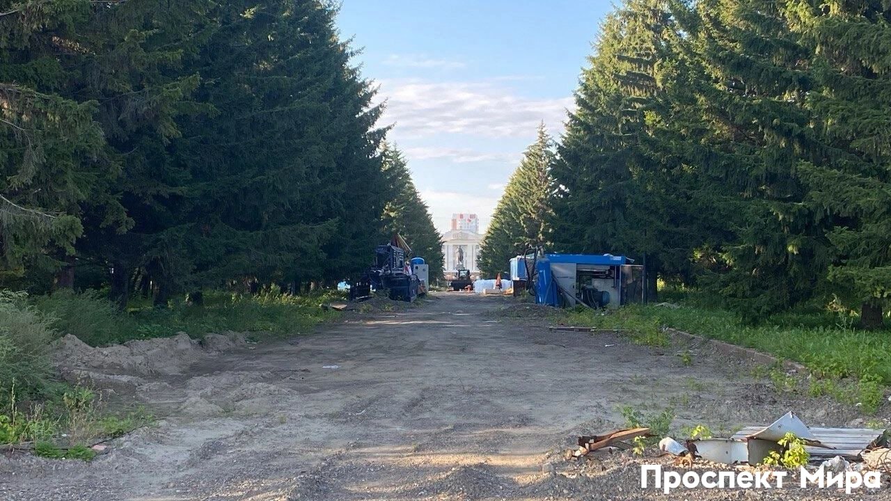 В Центральном парке Красноярска нашли человеческие останки Кости нашли еще в середине мая на глубине полуметра, когда рабочие выкорчевывали дерево. Информацию подтвердили «ПМ» в краевом СК. Экспертиза показала, что останкам больше 50 лет, кости и череп в плохом состоянии, внутренних органов нет. Пока невозможно сказать, это был мужчина или женщина, еще устанавливается более точный возраст останков. Следователи полагают, что останки могли привезти с грунтом еще при создании или благоустройстве парка. Других версий пока нет. Центральный парк был основан в 1828 году, в советские времена его активно обустраивали.