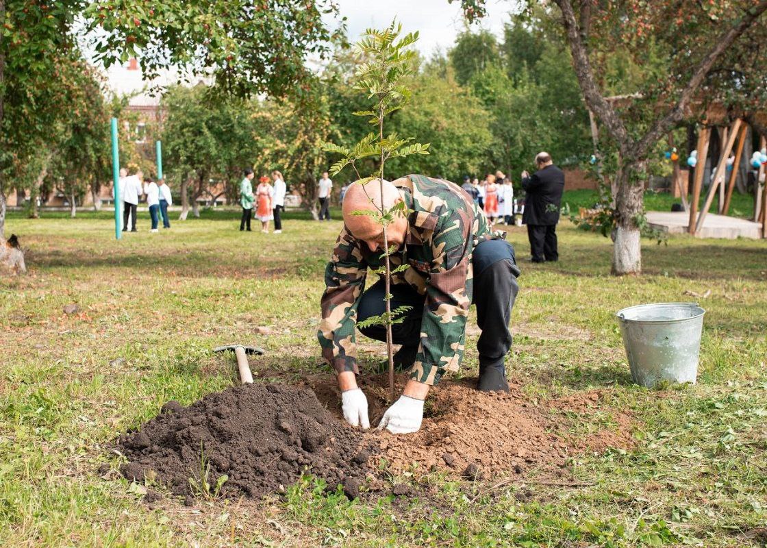 В Октябрьском районе Красноярска высадят почти 3 тысячи деревьев  В рамках осеннего сезона озеленения в Октябрьском районе краевого центра высадили 1 503 дерева. К завершению сезона, который намечен на середину ноября, планируется высадить еще 1 497 деревьев.  Ежедневно «зеленую копилку» города пополняют неравнодушные горожане, сотрудники управляющих организаций, сотрудники предприятий и представители общественных организаций.  За всеми высаженными деревьями и кустарниками организован тщательный уход.  Фото: мэрия Красноярска