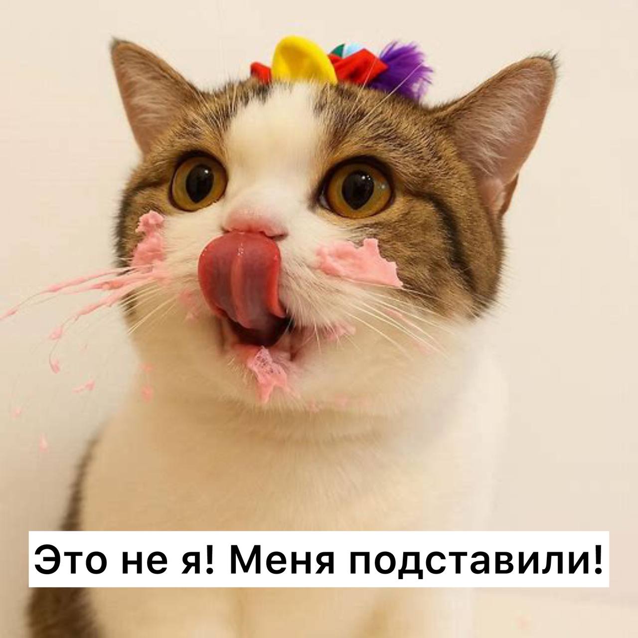 Женщина развелась с супругом после 25 лет в браке потому что он совершил страшное съел её кусочек торта Супруги накануне отпраздновали годовщину и у каждого был десерт Муж свой съел сразу а жена оставила на утро и проснулась с мыслями что сейчас насладиться сладеньким Однако муж съел его пока она спала Для неё это стало последней каплей пренебрежения и она поняла что ей нужен тот кто защитит а не украдёт последнее тем более если это торт Случай не из России но напряглись все Подписаться Прислать новость