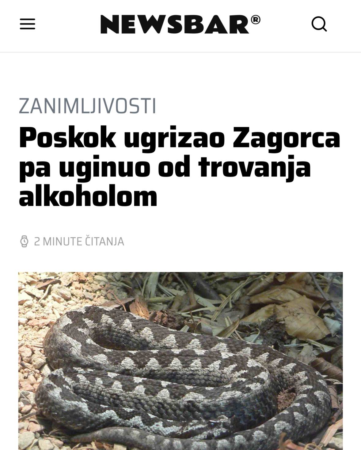 В Хорватии ядовитая гадюка УКУСИЛА туриста и умерла сама в крови укушенного было слишком много алкоголя Местные змеи не привыкли что их добыча имеет такую концентрацию спиртного в крови особенно в 14 00 Сам турист при этом никак не пострадал алкоголь нейтрализовал весь яд и спас мужчине жизнь Вот и думайте теперь UPD с гадюкой ничего не случилось новость выложила хорватская ИА Панорама trendach