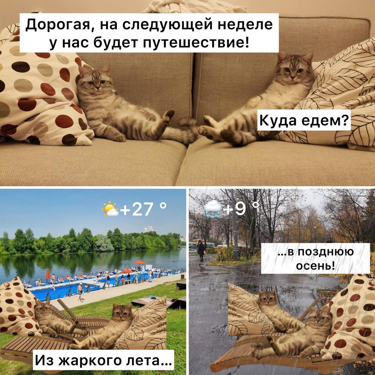 На следующей неделе Москву ожидают температурные качели от 27 градусов в понедельник до 9 градусов к четвергу С 24 сентября начнутся дожди температура резко упадёт бабье лето закончится Подписаться Прислать новость
