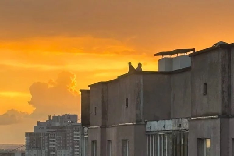 Очевидцы стали замечать подростков на крышах минских многоэтажек. Что может грозить руферам. В конце мая детей увидели на кровлях домов на ул. Бурдейного, 35, Нёманской, 80, и Лидской, 16. Коммунальщики оперативно меняют замки и закрывают двери, а также проверяют другие выходы на крыши. На чердачных, технических подпольях и этажах не допускается нахождение посторонних лиц. Незаконное проникновение на крышу зачастую сопровождается спиливанием замка или его взломом. А это уже нарушение законодательства. Наказание при этом предусмотрено разное: от общественных работ и штрафа до ограничения свободы. Фото из Сети «Минск-Новости» MINSKNEWS.BY Telegram Viber FB VK Inst TikTok YouTube
