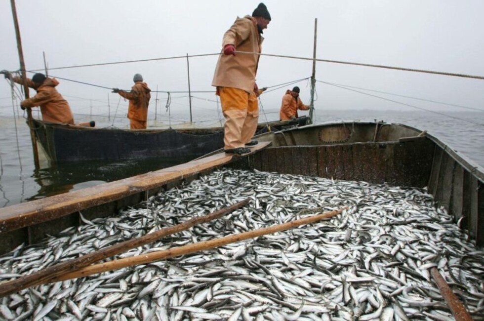 Путин объяснил почему государство не регулирует цены на рыбу Президент признал что рыбы на столе граждан пока не хватает и страна не дотягивает до определенных норм потребления Отвечая на вопрос о регулировании цен глава государства предостерег от прямого вмешательства отметив что это сложная и опасная история которая может привести к исчезновению товара Вместо этого Путин предложил работать над удешевлением логистики чтобы продукция с Дальнего Востока могла максимально доступно доставляться в европейскую часть страны Читать полностью  Подпишись на нас в MAX