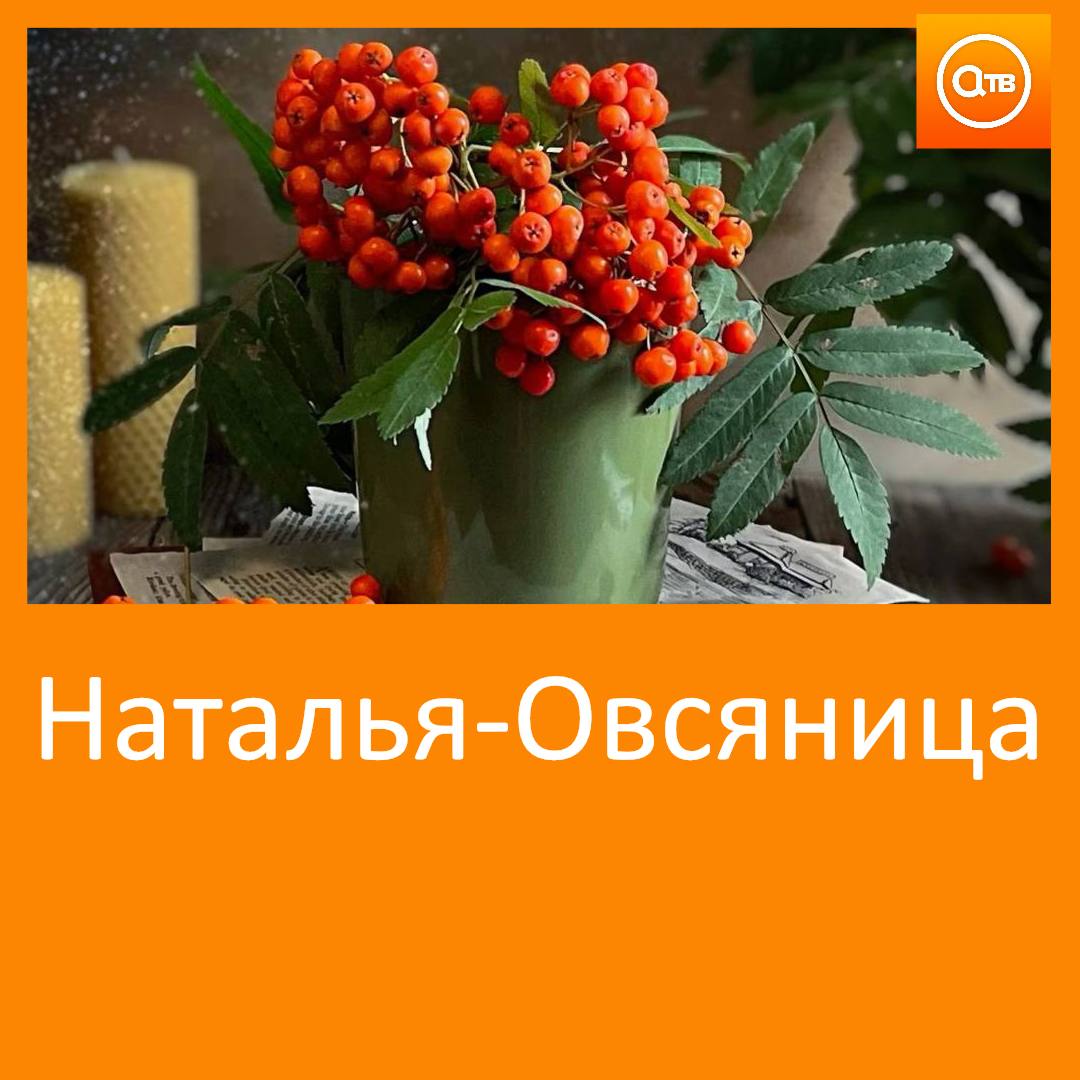 По народному календарю 8 сентября отмечается Наталья Овсяница Женщинам на Наталью Овсяницу не рекомендовалось ходить в лес считалось что весь сентябрь рядом с людьми бродит нечисть которая может увести за собой 8 сентября было принято проводить разные обряды Обязательно нужно было отведать блюда из толокна Это способствовало благополучной уборке овса и богатому урожаю в следующем году Также в этот день срывали ветку рябины и ставили дома Она служила оберегом семейного благополучия Если к 8 сентября листья березы и дуба не опали будет суровая зима Много рябины зимой будет морозно Туман утром ждите тепла Дятел стучит в лесу к дождю