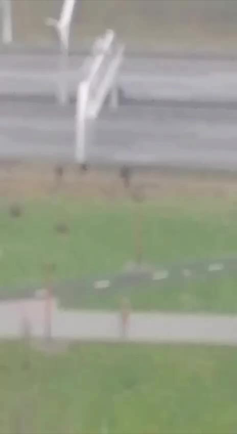 Дети устроили забег через ЗСД на Васильевском острове, полиция вмешалась